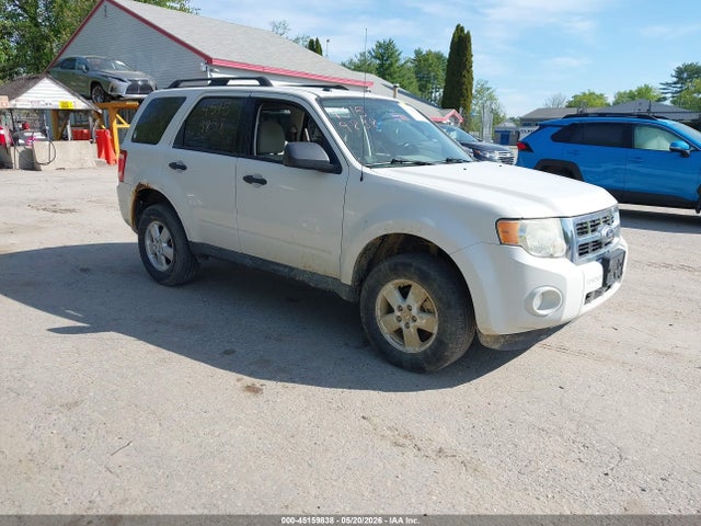 Salvage Ford Escape Image