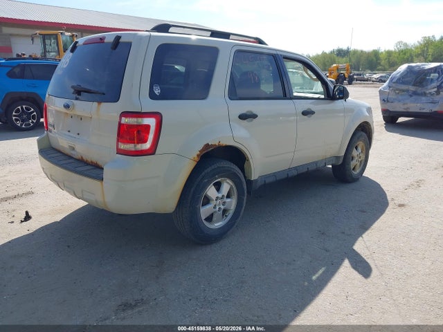 Ford Escape Xlt