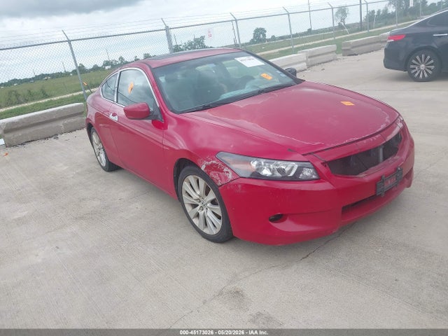 Salvage Honda Accord Image