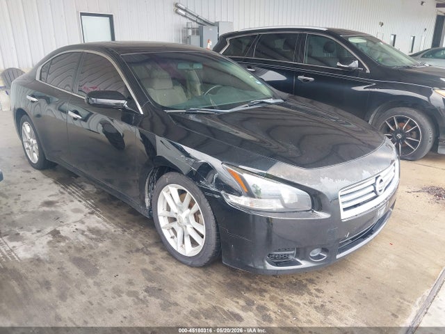Salvage Nissan Maxima Image