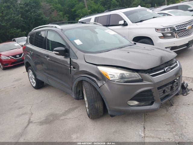 Salvage Ford Escape Image