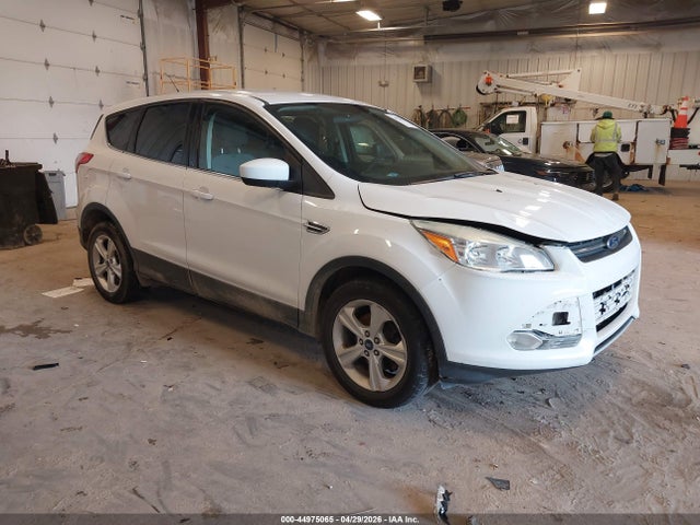 Salvage Ford Escape Image