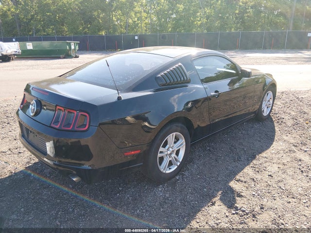 Ford Mustang V6