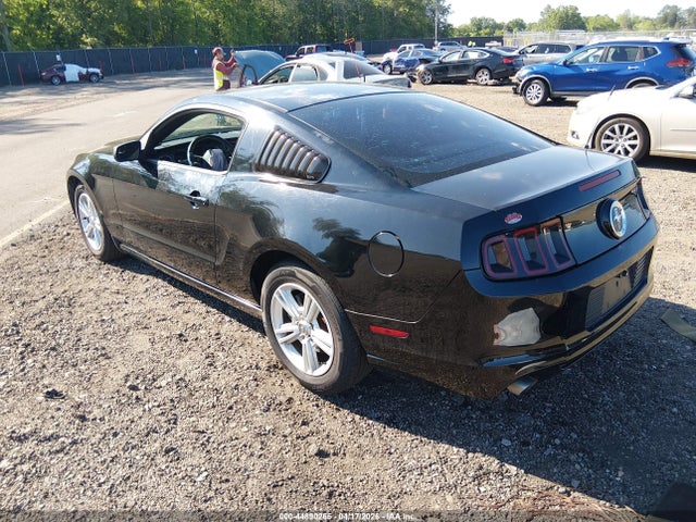 Ford Mustang V6