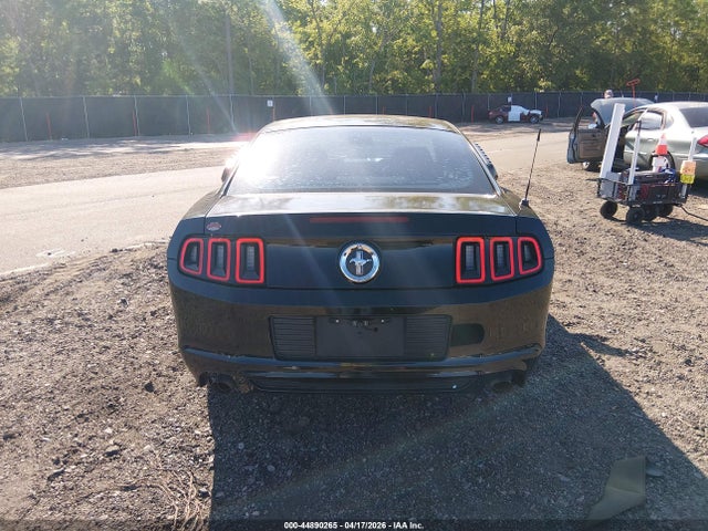 Ford Mustang V6