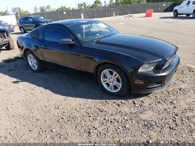 Salvage Ford Mustang Image