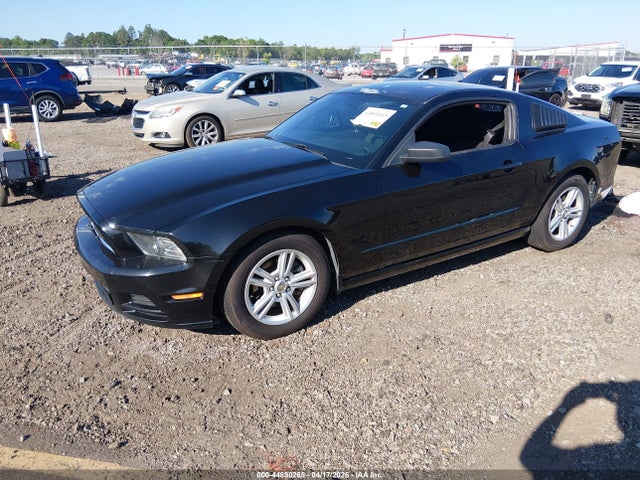 Ford Mustang V6