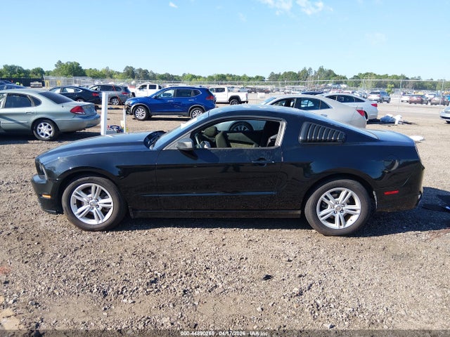Ford Mustang V6