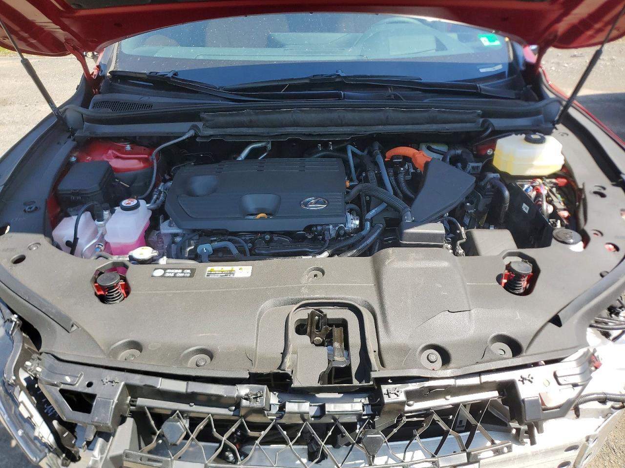 Lexus Other Premium+