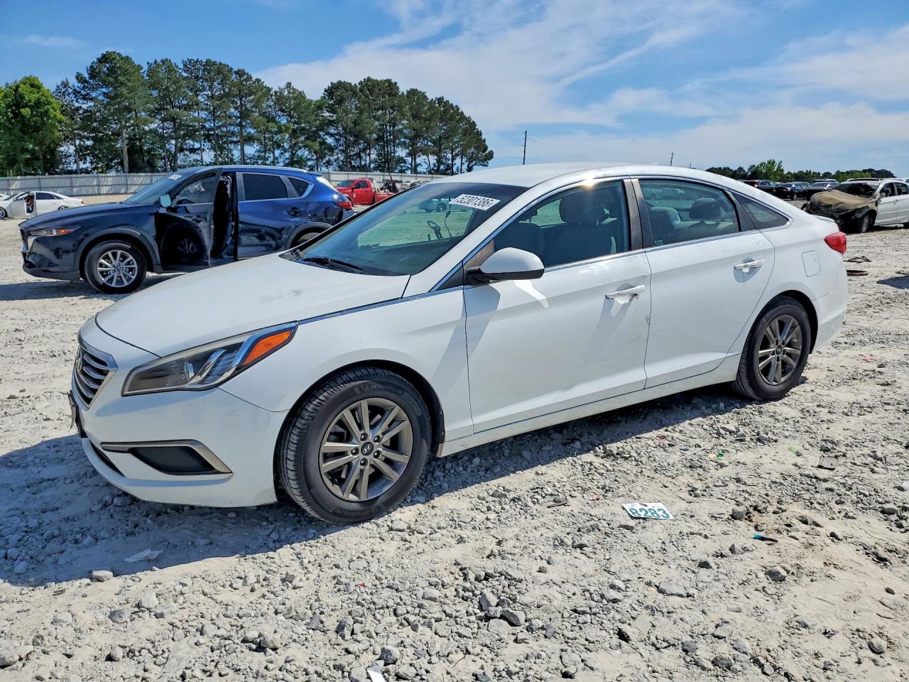 Salvage Hyundai SONATA Image