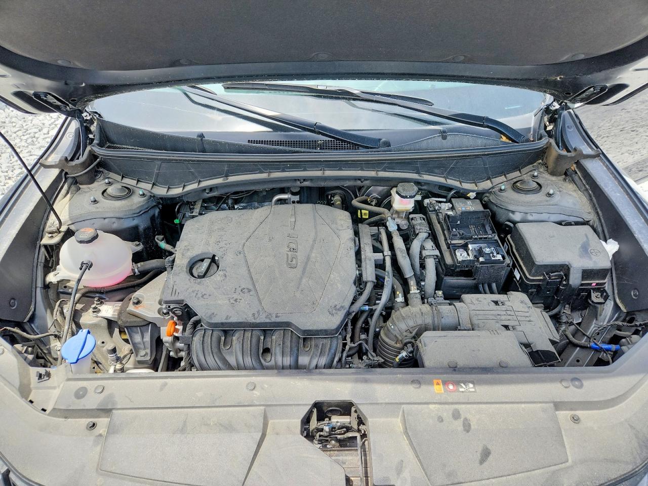 Hyundai SANTA CRUZ