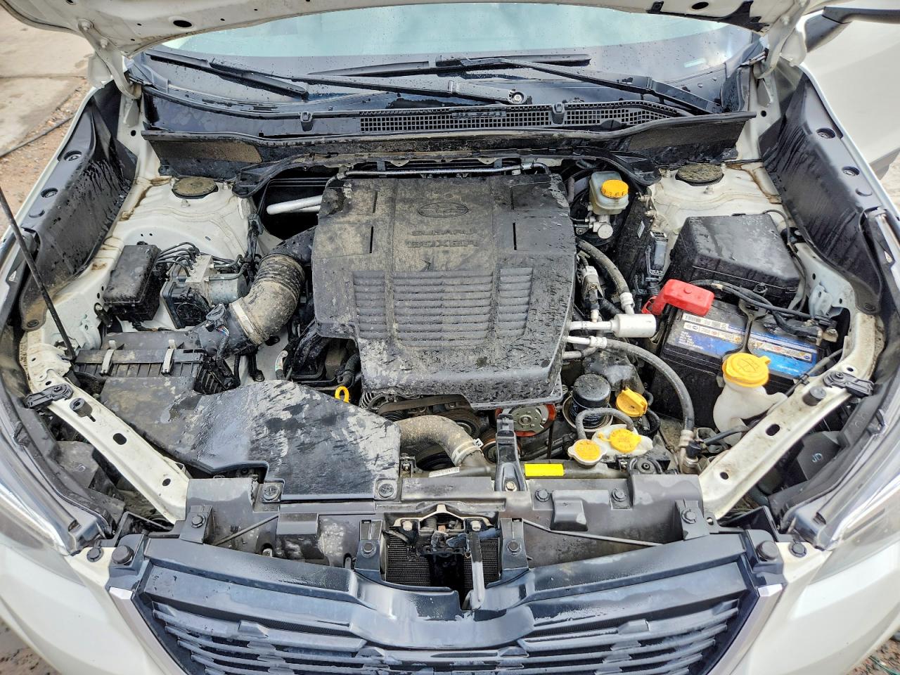 Subaru Forester Premium