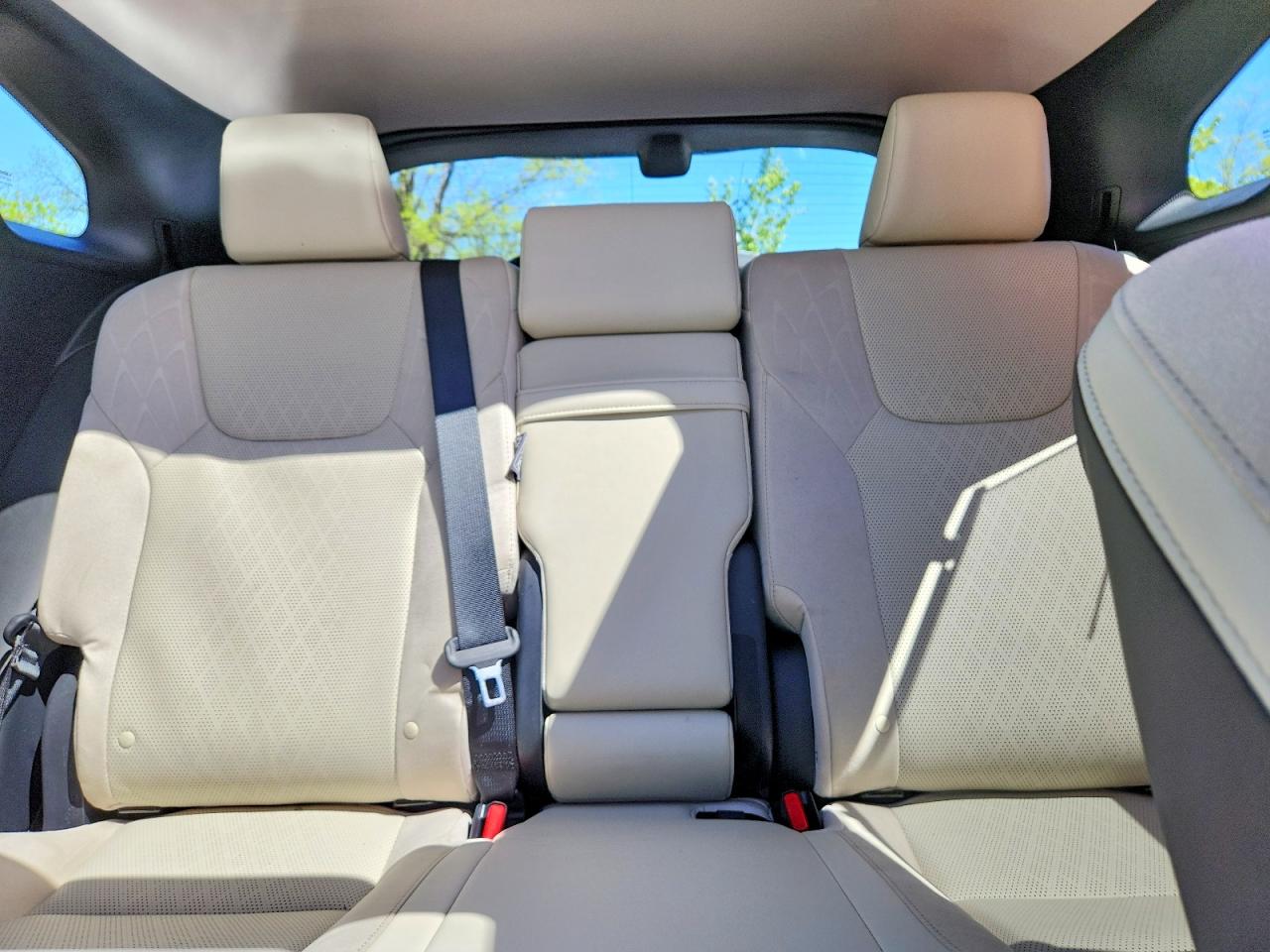 Lexus RX Luxury