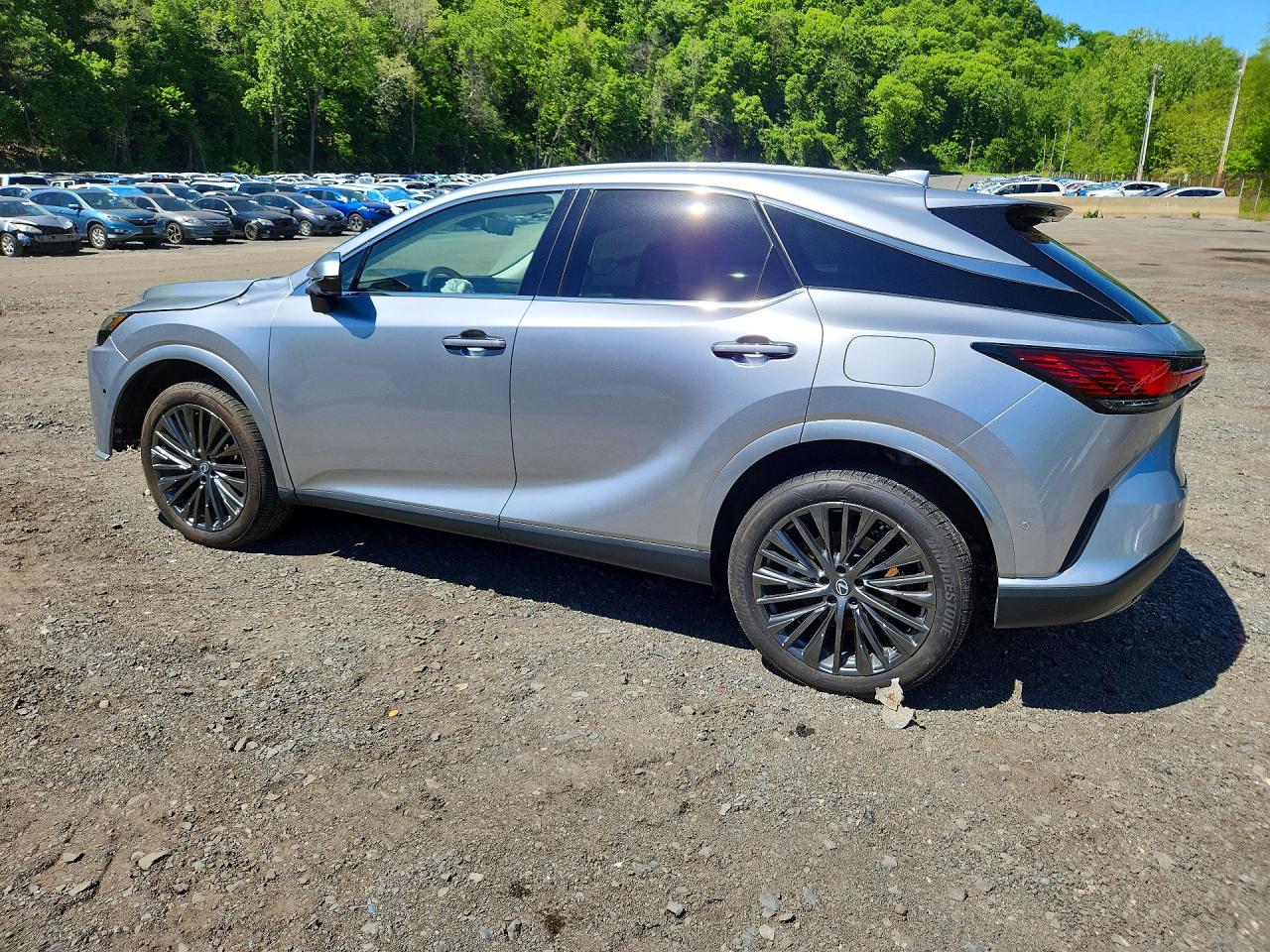 Lexus RX Luxury