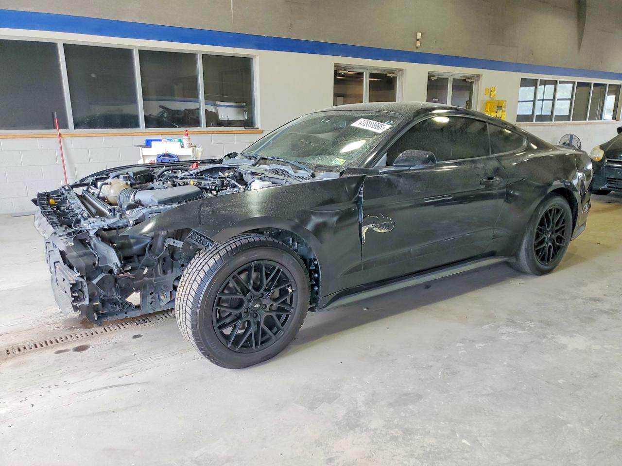 Salvage Ford Mustang Image