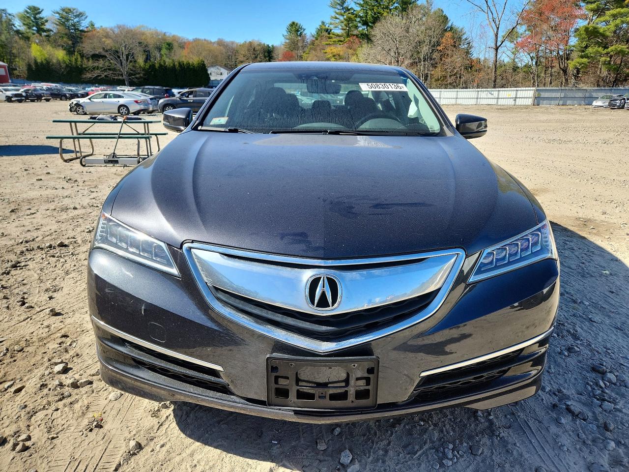 Acura TLX Tech