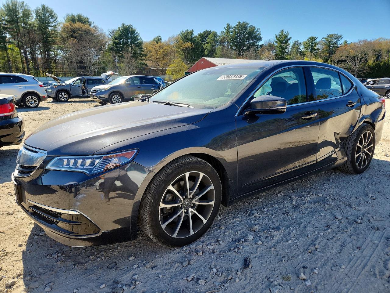 Salvage Acura TLX Image