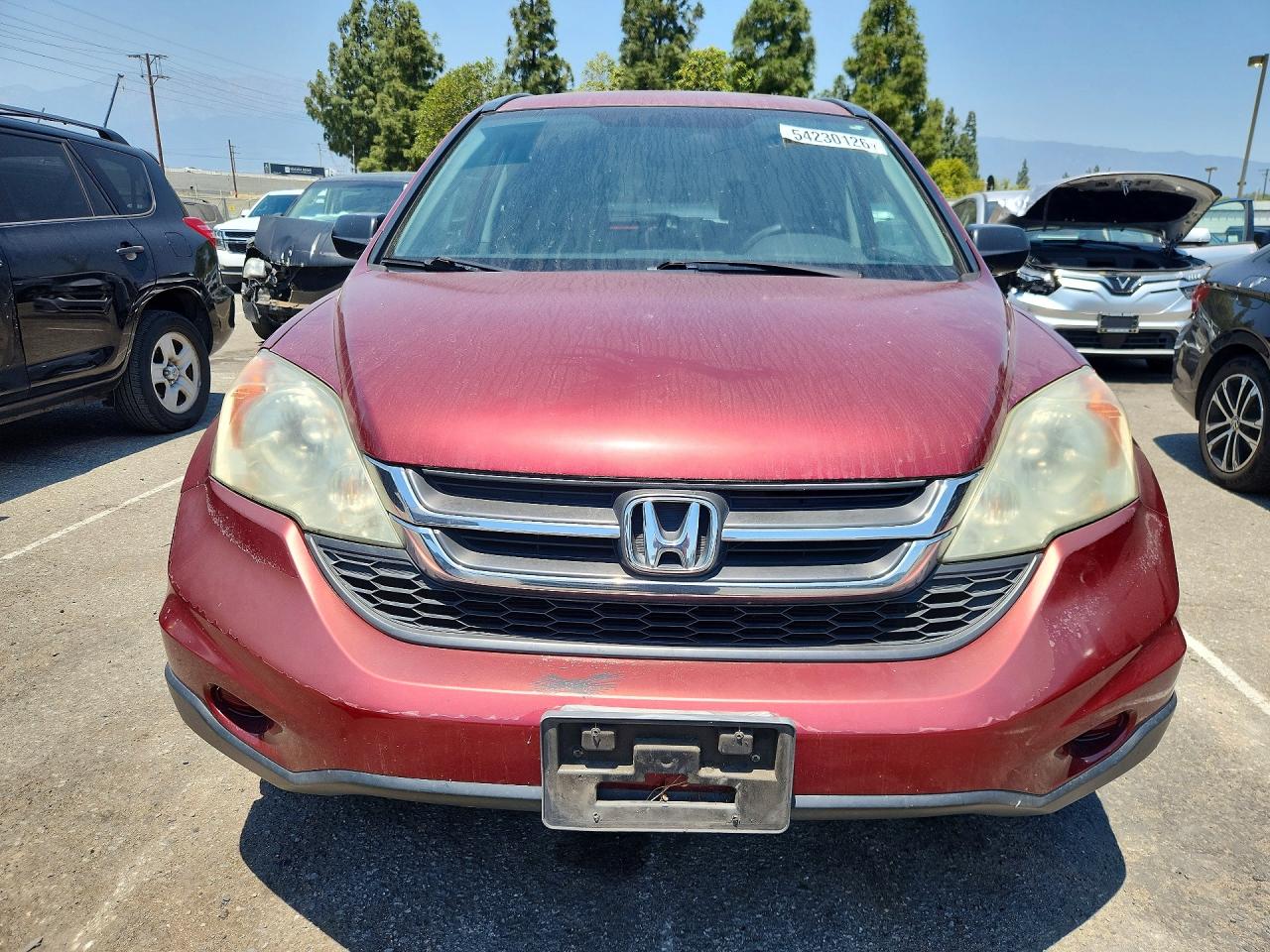 Honda Crv