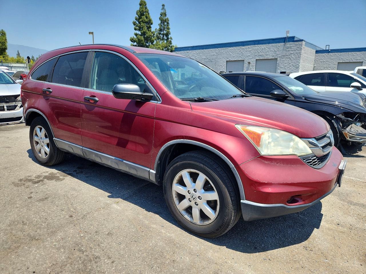 Honda Crv