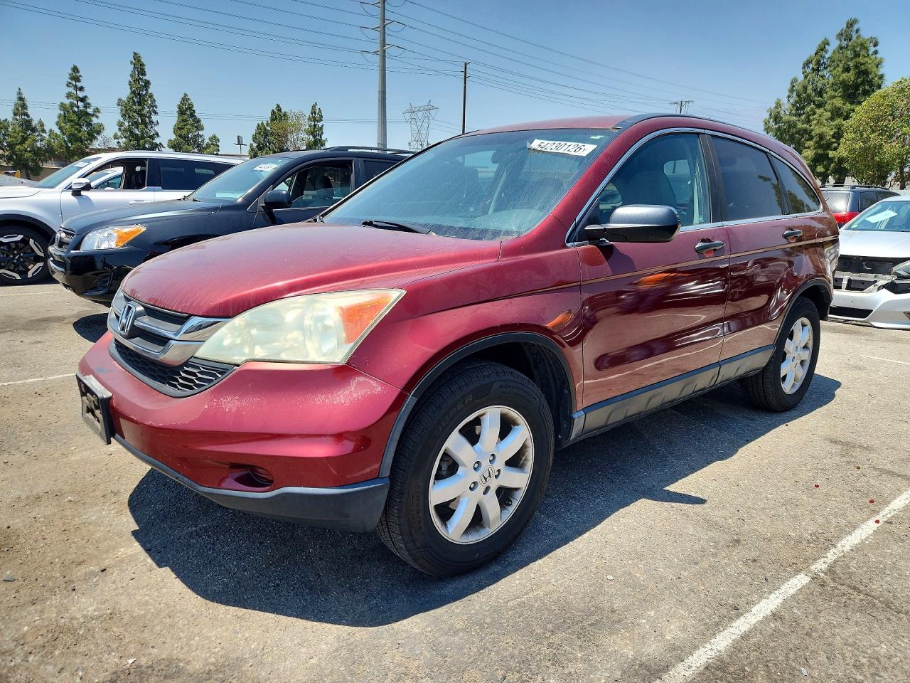 Salvage Honda Crv Image