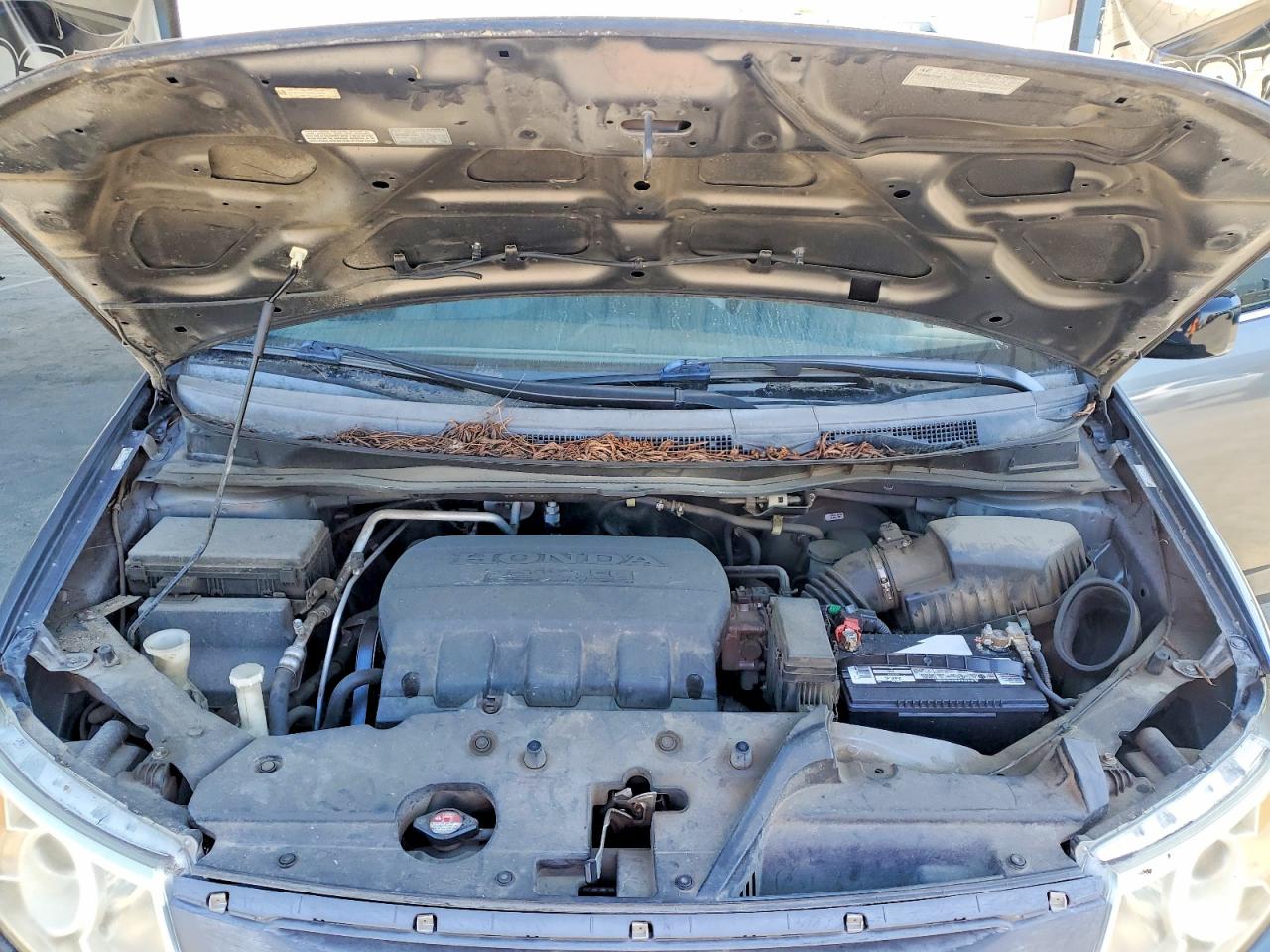 Honda Odyssey Exl