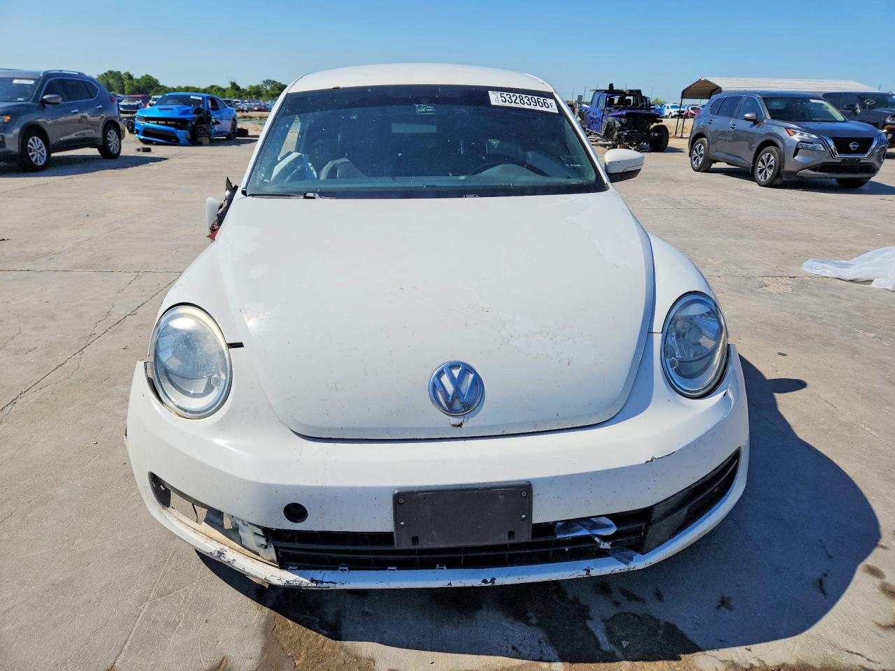 Volkswagen Beetle
