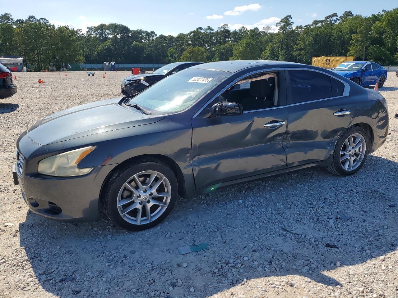 Salvage Nissan Maxima Image