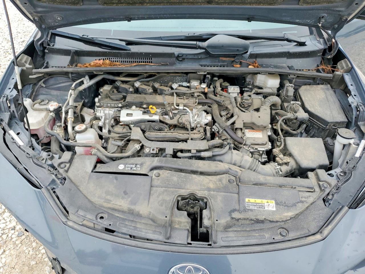 Toyota Prius Le