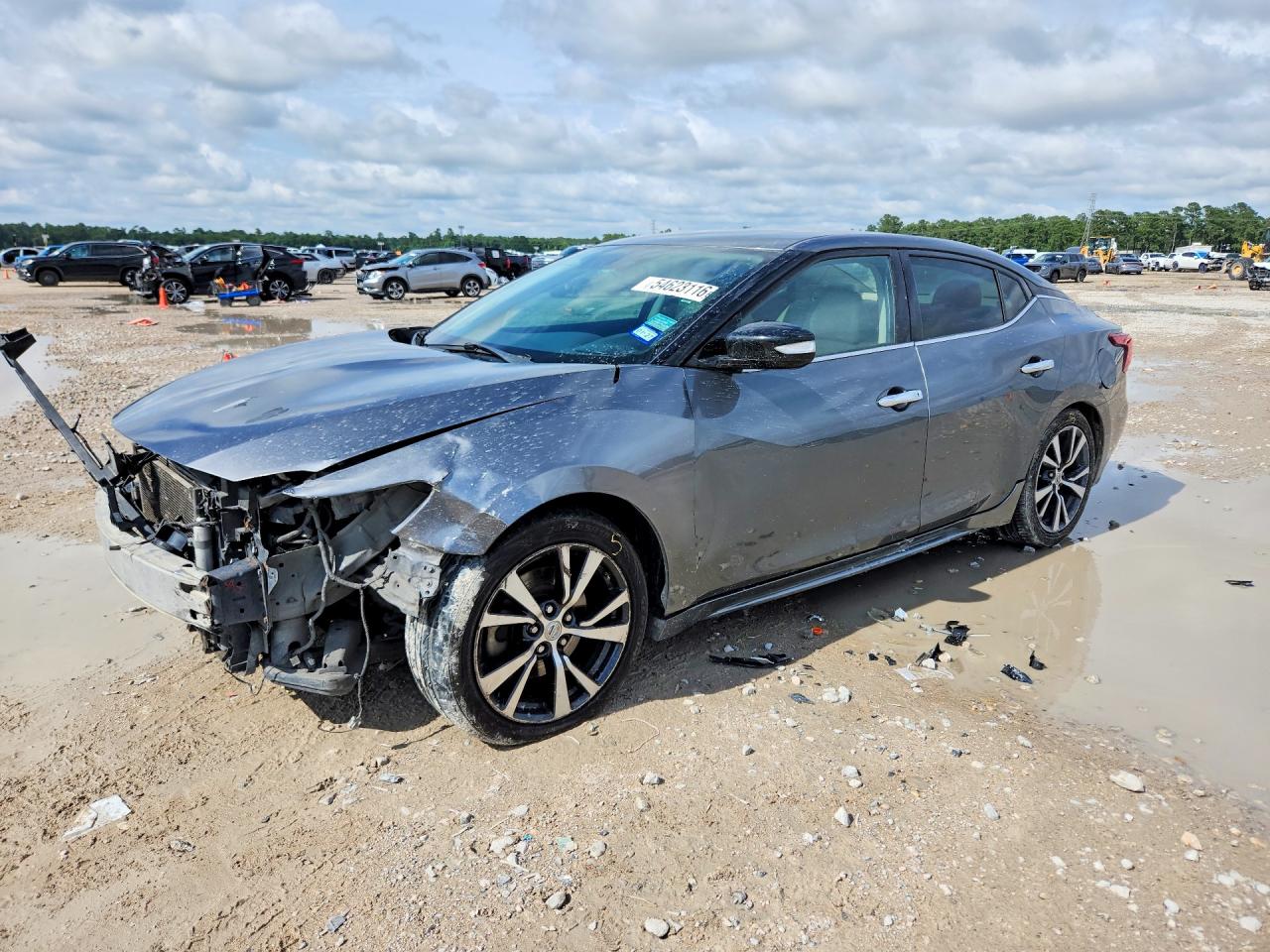 Salvage Nissan Maxima Image