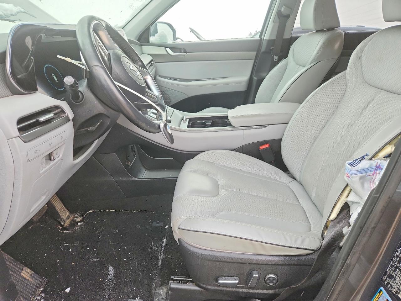 Hyundai PALISADE Sel