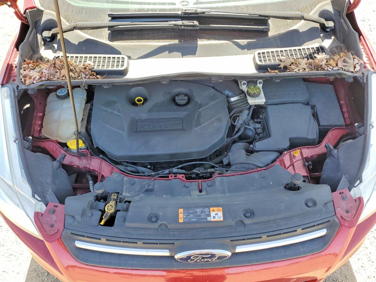 Ford Escape Se