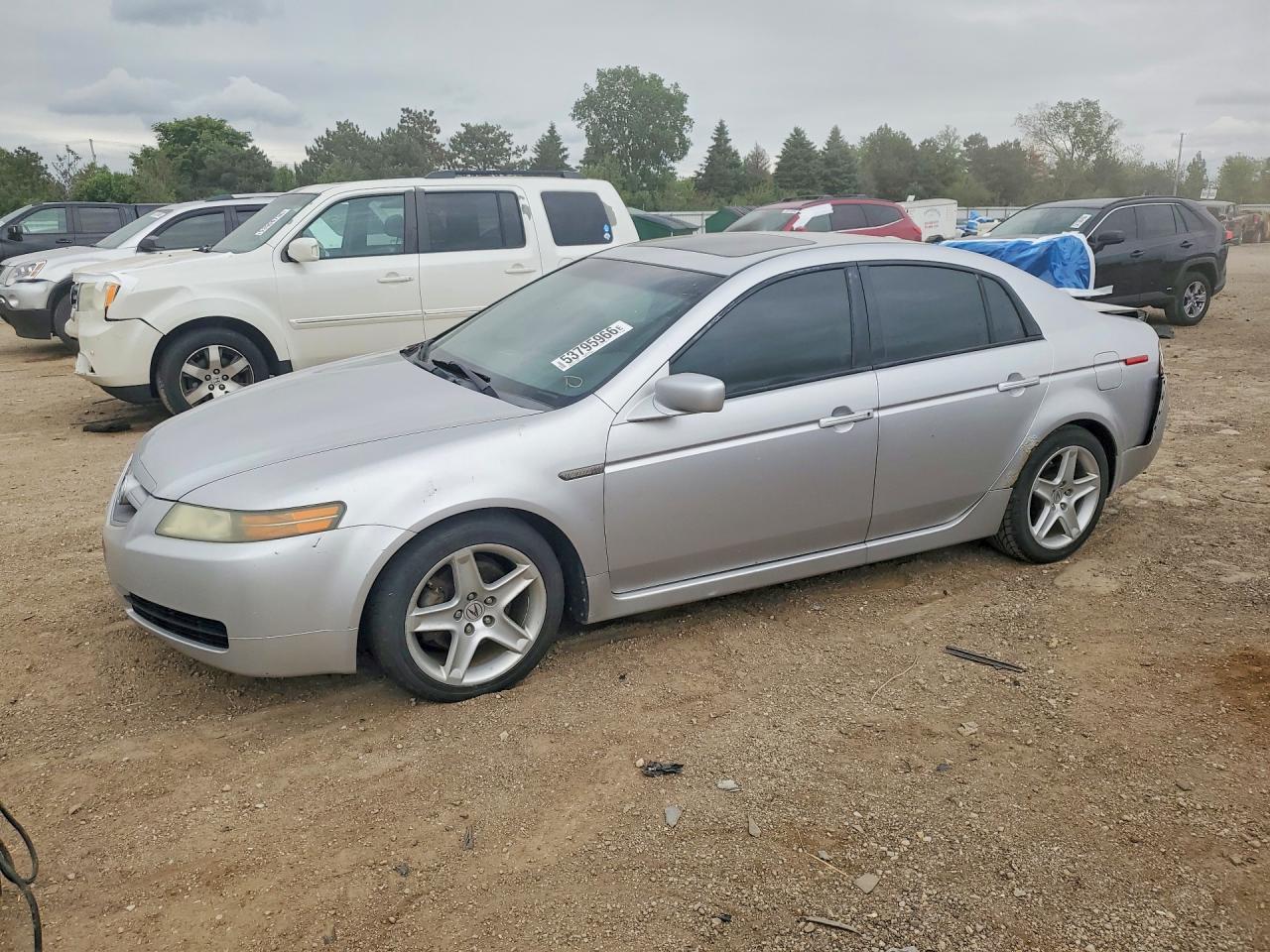 Salvage Acura TL Image
