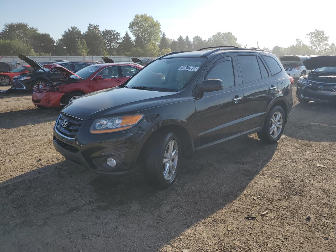 Salvage Hyundai SANTA FE Image