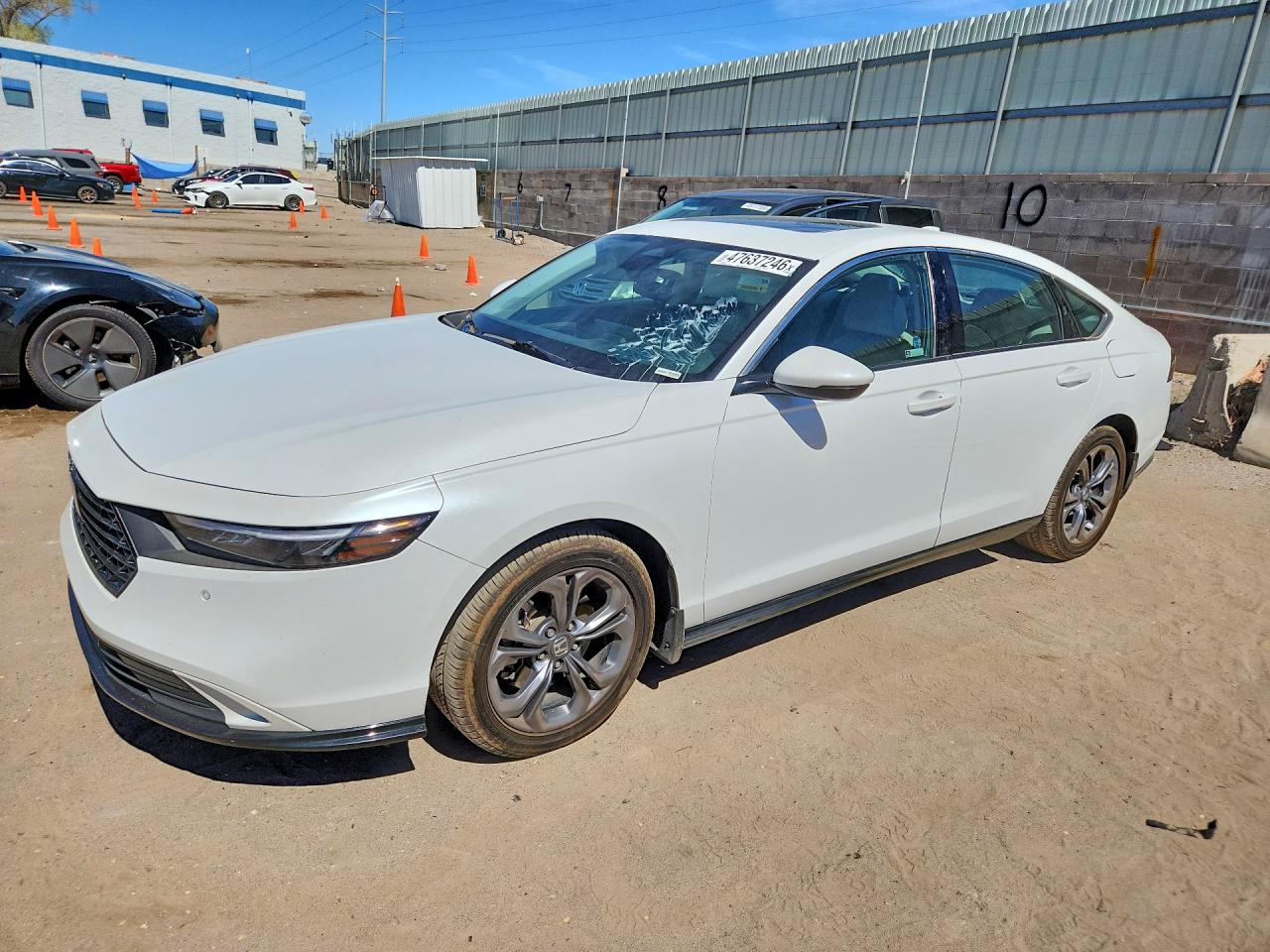 Salvage Honda Accord Image