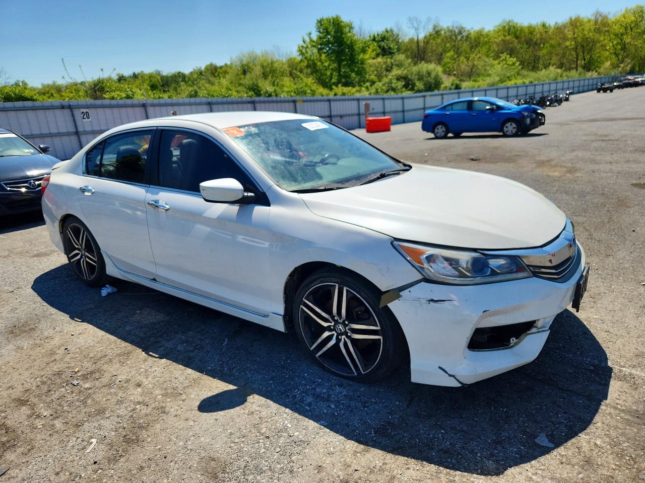 Honda Accord Sport