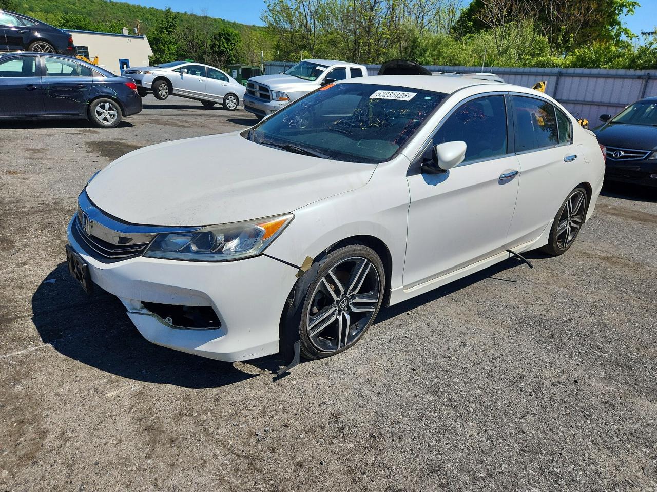Salvage Honda Accord Image