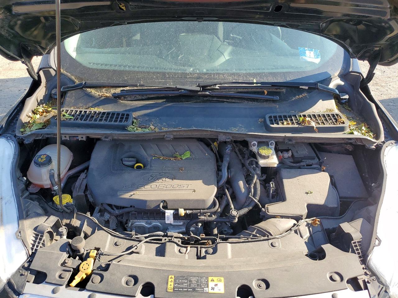 Ford Escape Se