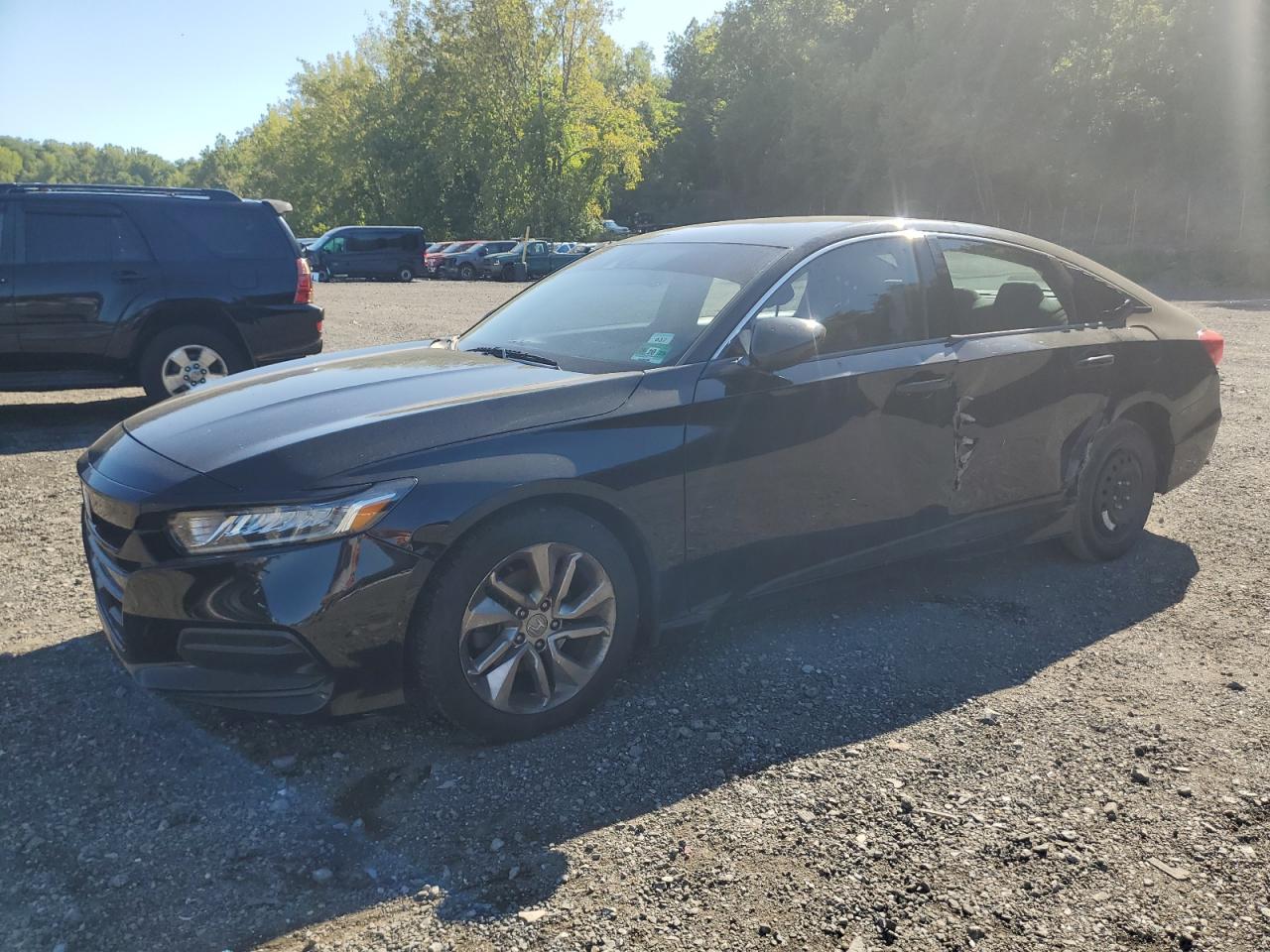 Salvage Honda Accord Image