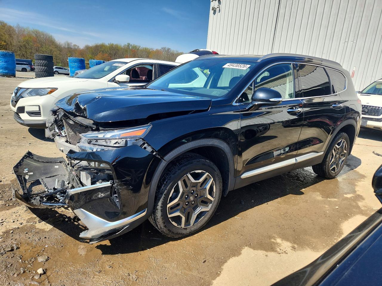 Salvage Hyundai SANTA FE Image