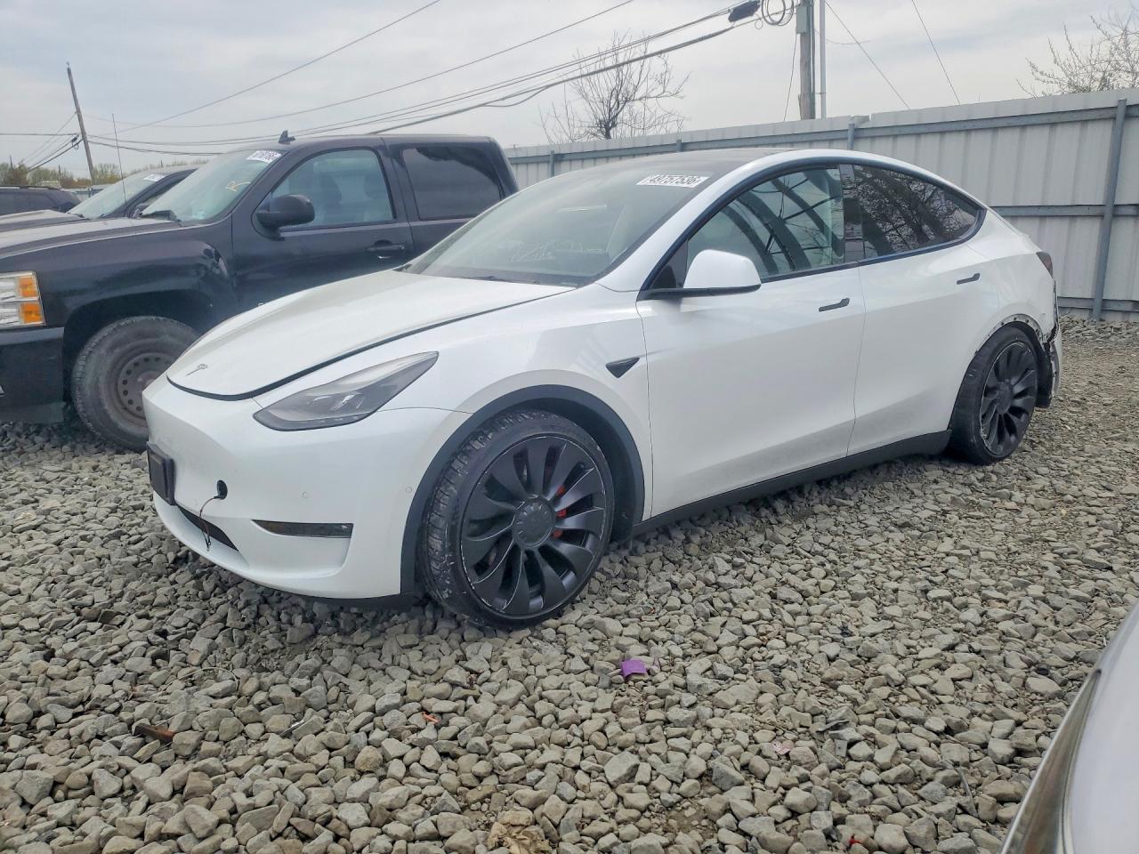 Salvage Tesla Model Y Image