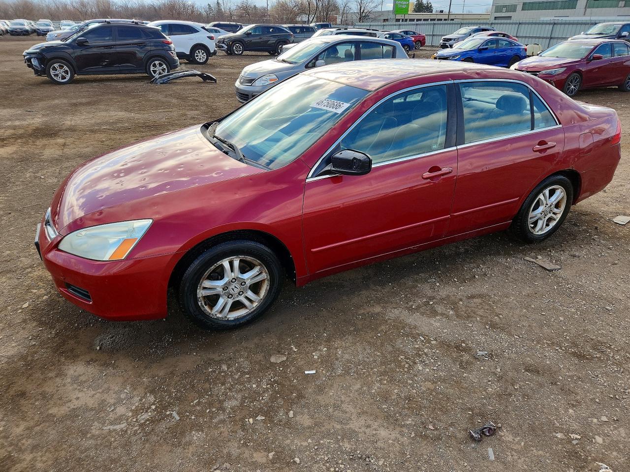 Salvage Honda Accord Image