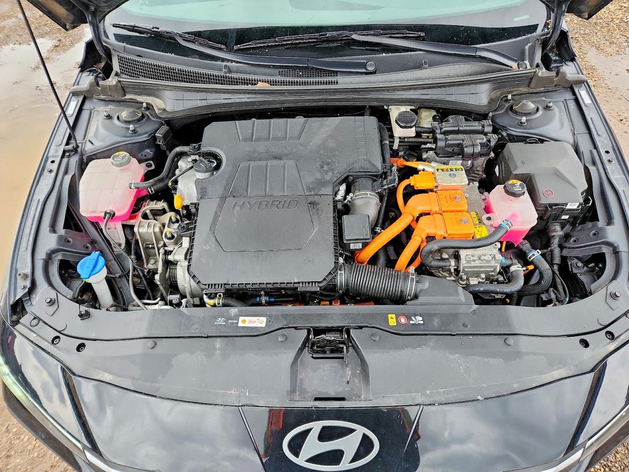 Hyundai ELANTRA Blue