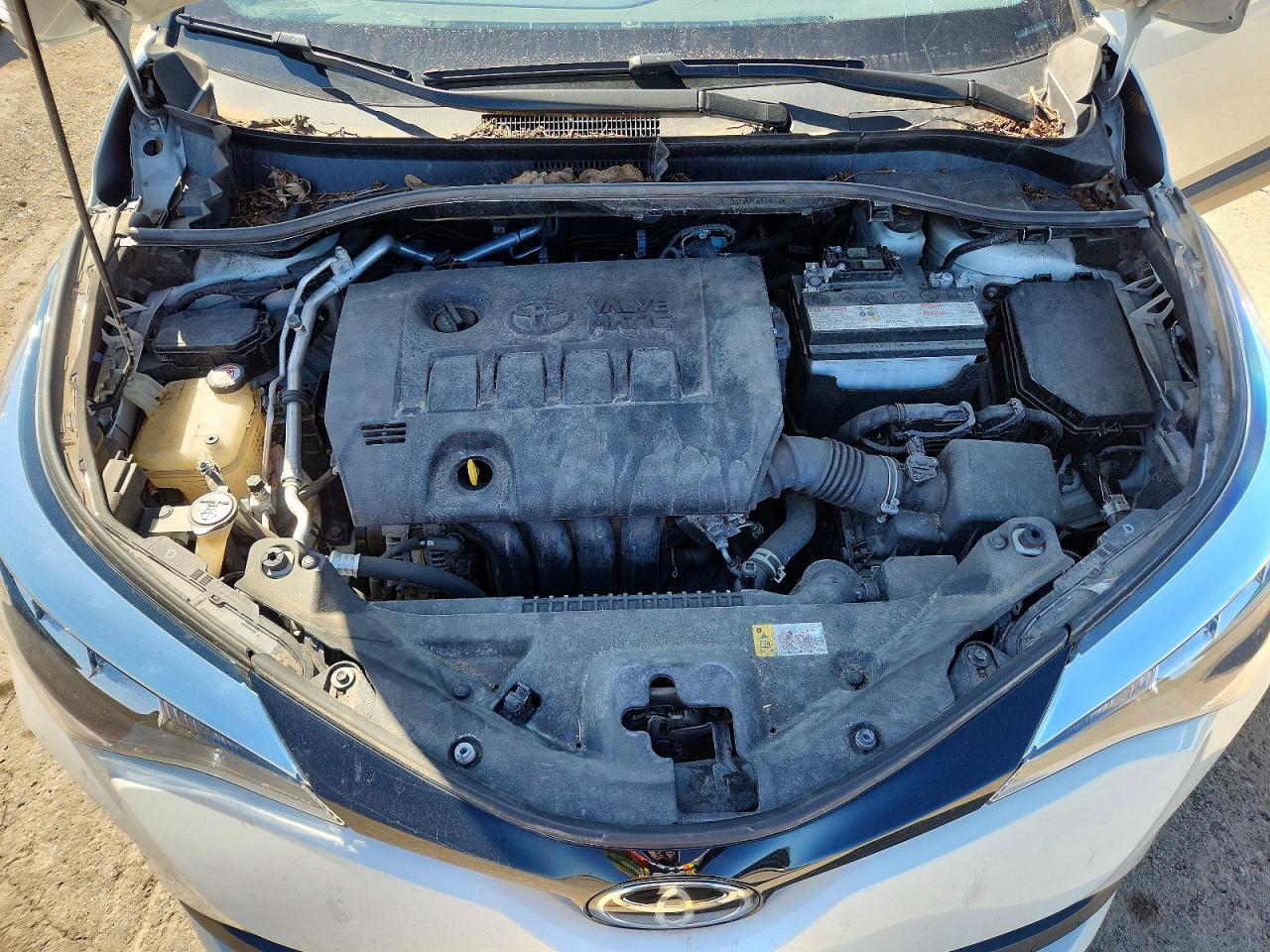 Toyota C-HR Xle
