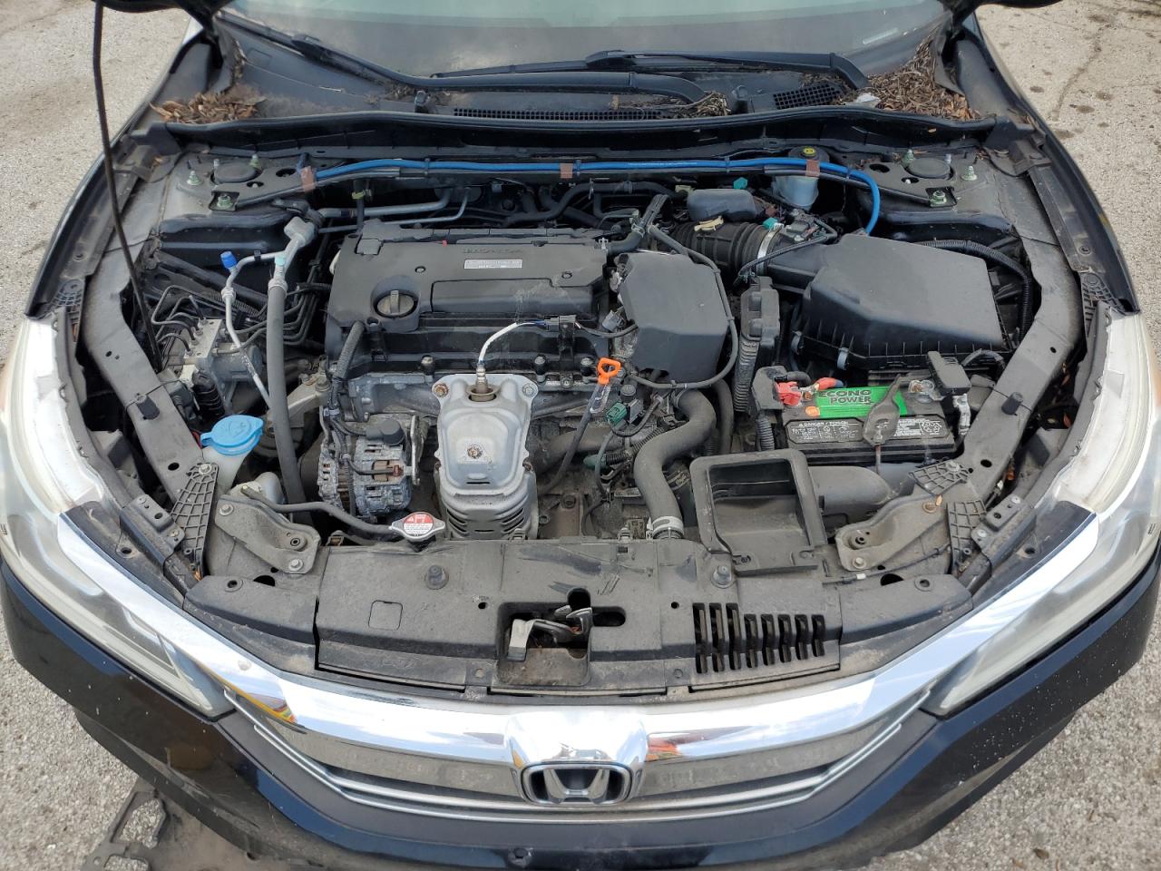Honda Accord Exl