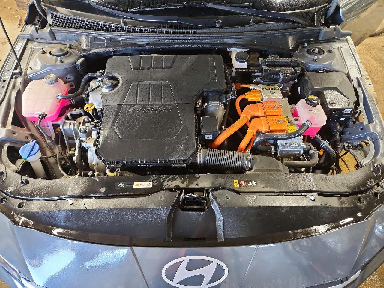 Hyundai ELANTRA Blue