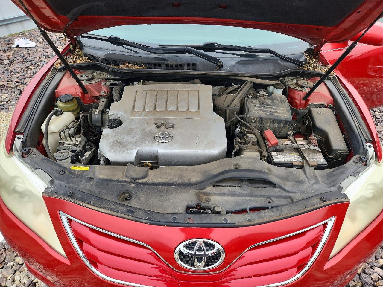Toyota Camry Le V6