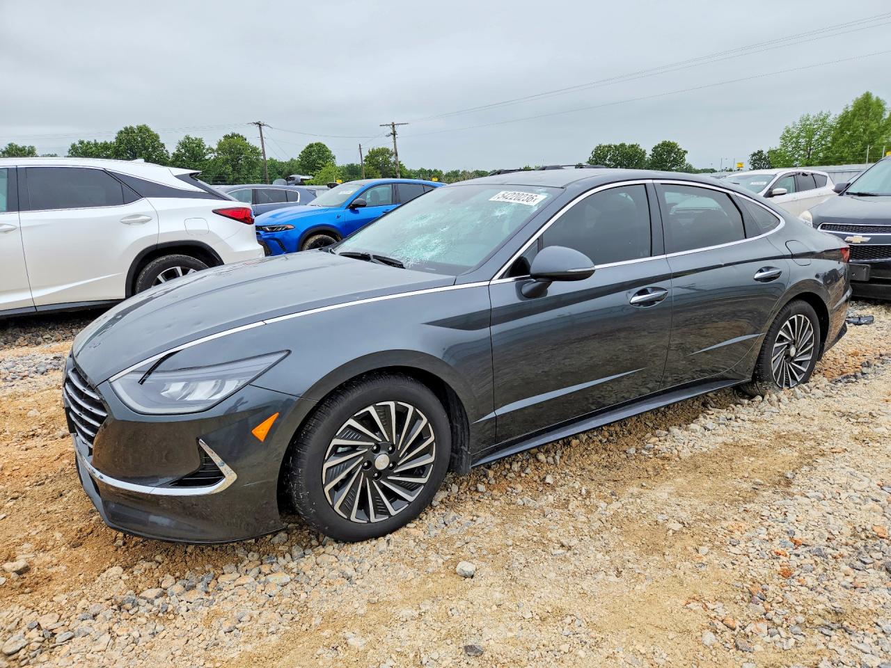 Salvage Hyundai SONATA Image