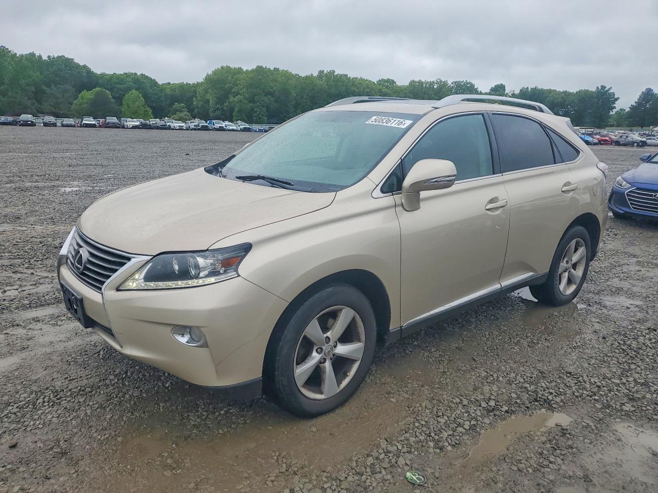 Salvage Lexus RX Image