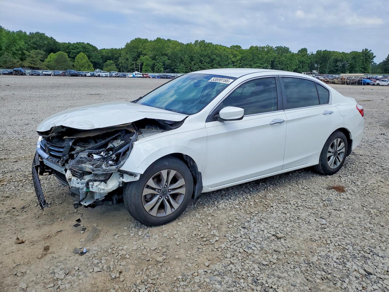 Salvage Honda Accord Image