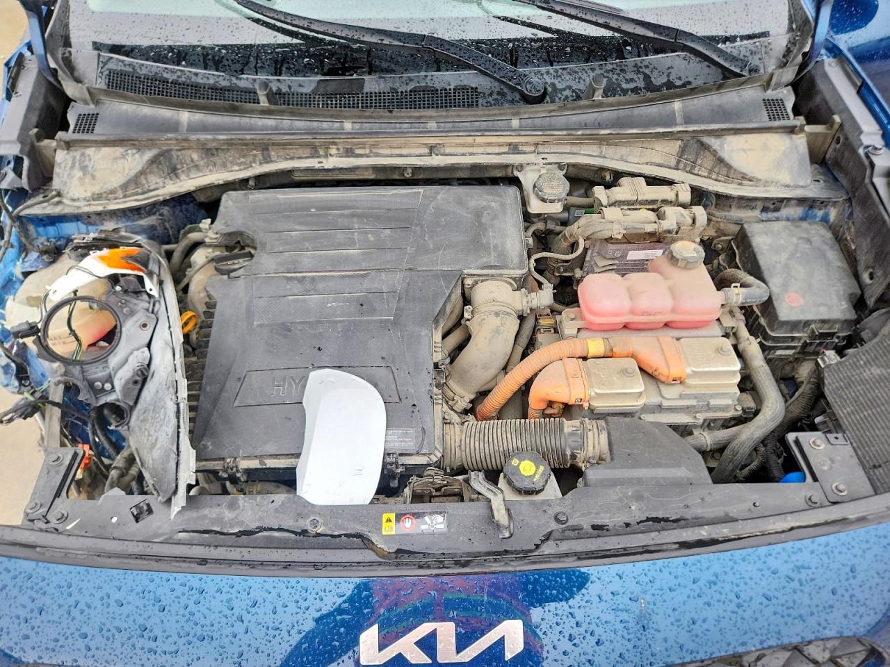 Kia Niro Lxs